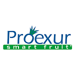 Proexur Uruguay